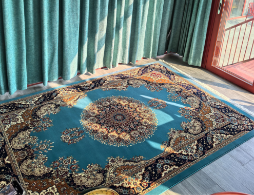 未命名 (495 x 380 1像素)