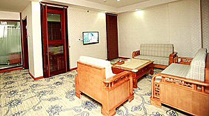 安徽高河独秀大酒店