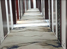 南京盘城葡萄庄园走道