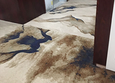 南京盘城葡萄庄园走道