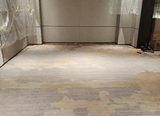 1400g尼龙印花地毯