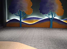 1400g尼龙印花地毯