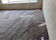 江苏宝华山科技发展有限公司