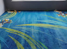 江苏宝华山科技发展有限公司